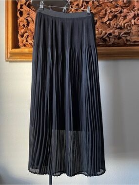 Black Pleated Maxi Skirt